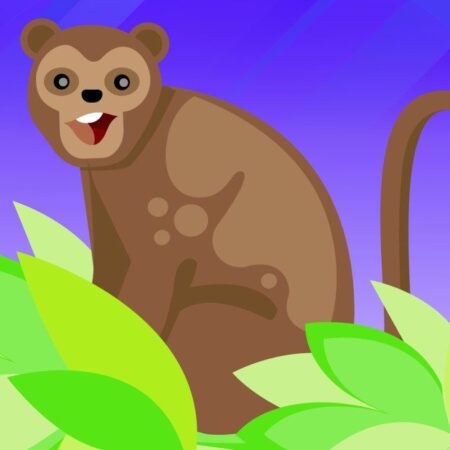 Die Affen sind los – Starte mit Monkey Mania, 7 Monkeys, Monkey Madness und Monkey God in ein tierisches Abenteuer