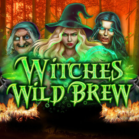 Hexenbrauen-Slot: Verzaubere deine Gewinne mit Witches Wild Brew